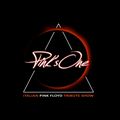 Pink's One - Pink Floyd tribute show