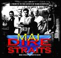 Mai Dire Straits - Tribute Band